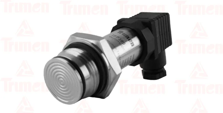 Flush Diaphragm Pressure Transmitter (TFP300)